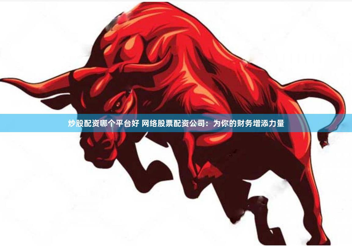 炒股配资哪个平台好 网络股票配资公司：为你的财务增添力量