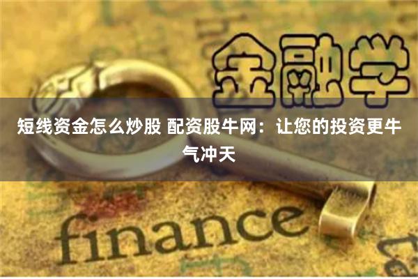 短线资金怎么炒股 配资股牛网：让您的投资更牛气冲天