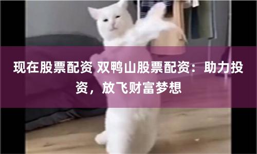 现在股票配资 双鸭山股票配资：助力投资，放飞财富梦想