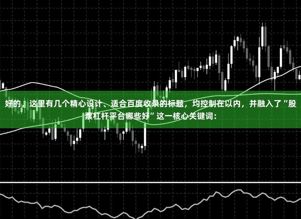 好的，这里有几个精心设计、适合百度收录的标题，均控制在以内，并融入了“股票杠杆平台哪些好”这一核心关键词：